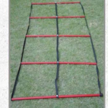 Double Agility Ladder
